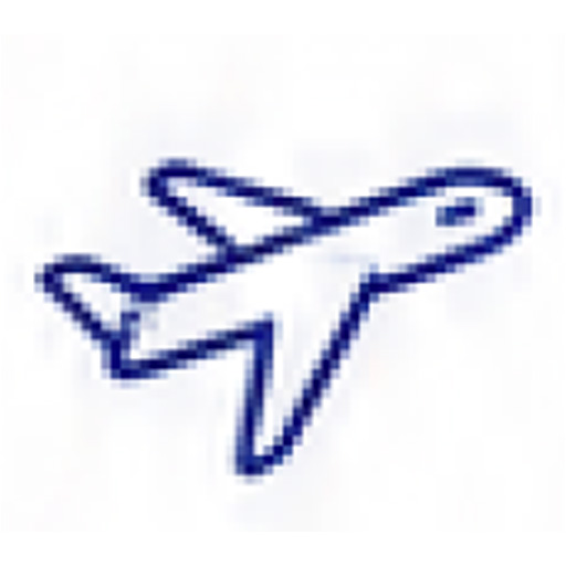About the Flight