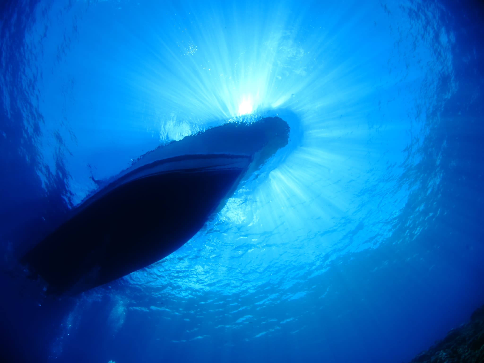 in the sea