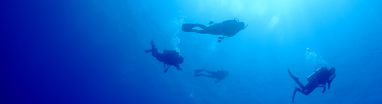 Why Dive With Sensuiya Okinawa